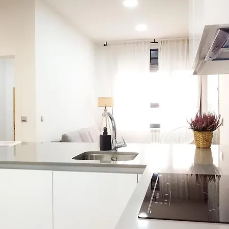 Elegante Laud1 - Nuevo/familia/wifi/tv * バリャドリド